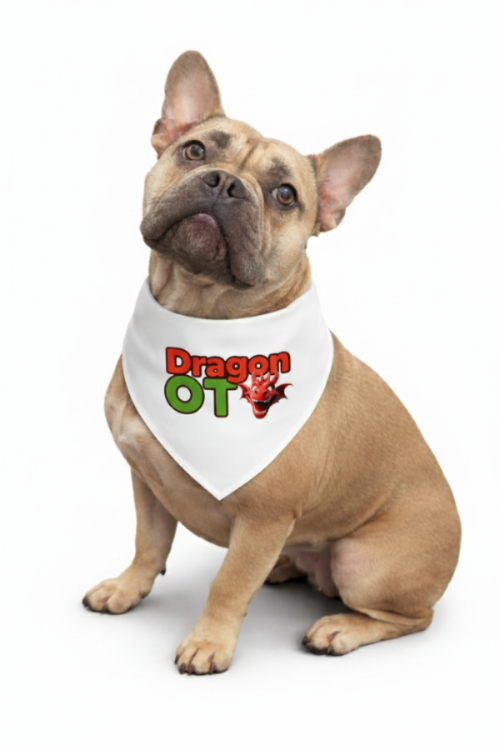 Dragon OT Pet Bandana